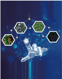 Screen Shot 2017-06-09 at 2.50.01 pm